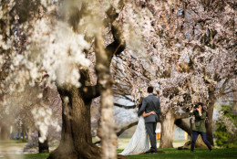 Rebekah Murray of Leesburg, Va., right, photographs Luke and Carolyn Woods of Silver Spring, Md., among the cherry blossom trees along the Potomac River in Washington, Tuesday, April 7, 2015. Luke and Carolyn were married four years ago and are retaking their wedding photos. Officials are calling for a peak bloom period from April 11-14th. (AP Photo/Andrew Harnik)