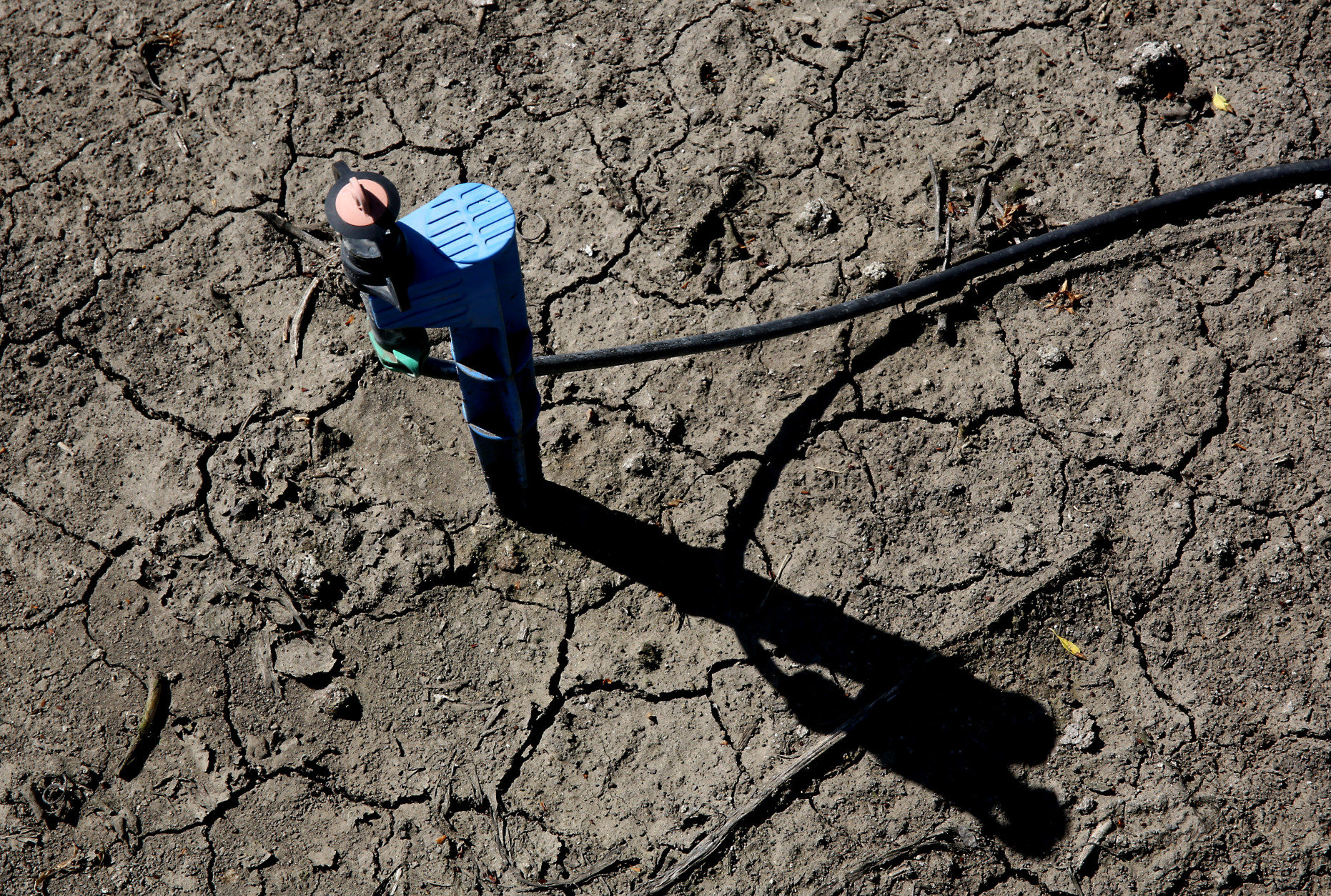 In this photo taken Friday March 27, 2015, low-flow water emitter sits on some of the dry, cracked ground of farmer Rudy Mussi's  almond orchard in the Sacramento-San Joaquin Delta near Stockton, Calif.  As California enters the fourth year of drought, huge amounts of water are mysteriously vanishing from the Sacramento-San Joaquin Delta, and farmers whose families for generations have tilled fertile soil there are the prime suspects.  Delta farmers deny they are stealing water, still, they have been asked to report how much water theyre pumping and to prove their legal right. Mussi says he has senior water rights in a system more than a century old that puts him in line ahead of those with lower ranking, or junior, water rights.(AP Photo/Rich Pedroncelli)