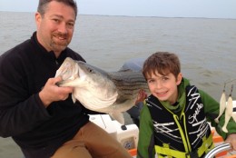 Chris and Alex Conner caught this striped bass Opening Day 2014  in the Chesapeake Bay near the Magothy River. (Courtesy Chris Conner)