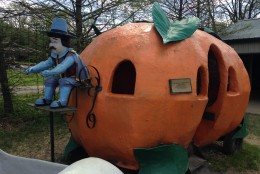 In 2004, the Pumpkin Coach became the first item from the closed theme park to be moved to Clark's Elioak Farm. (WTOP/Michelle Basch)