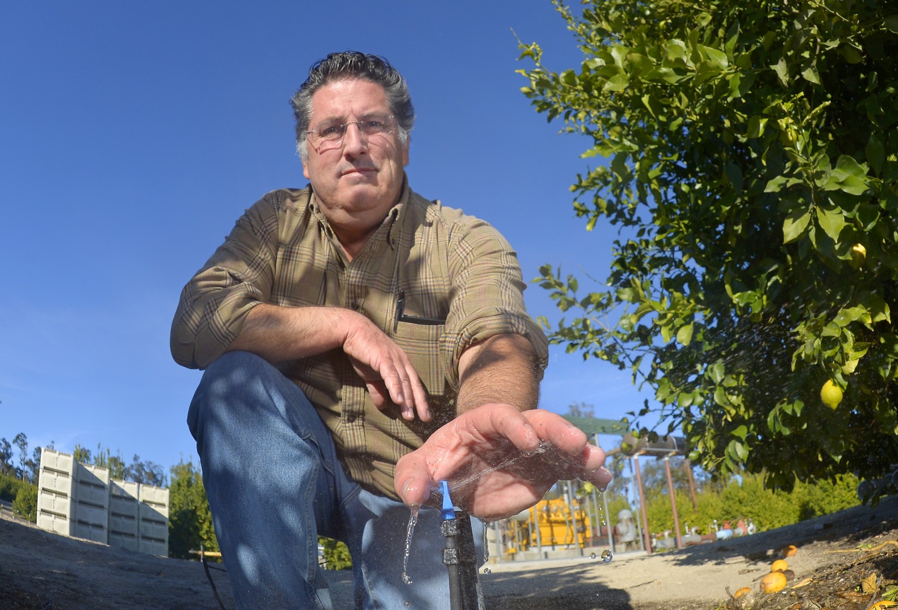 In this Jan. 18, 2013 photo, David Schwabauer, managing partner of Leavens Ranches, holds his hand over an irrigation sprinkler, next to one of his lemon and avocado trees in Moorpark, Calif. In the background is one of his pumps that is pulling water from an underground well. For years Schwabauer has watched groundwater levels retreat with higher demand from encroaching development, forcing ranchers and farmers to sink piping deeper into the earth or drill expensive, new wells for irrigation. In the heat of summer, he pumps 3,000 gallons a minute for his thirsty trees. (AP Photo/Mark J. Terrill)
