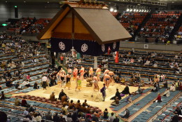 “Sumo combines so much of Japanese culture into just one sporting event. There’s this ritual and these traditions, and these dances, and it’s just really kind of a trip back in time. Just the energy of the crowd is so intense, you feel like you’re really part of something," says Laura Hayes.  (Courtesy Laura Hayes) 
