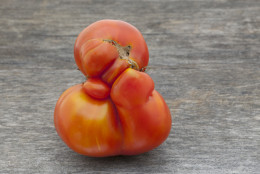 Ugly fruits and vegetables  often get thrown away. (Thinkstock)