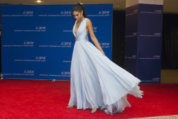 Chanel Iman attends the 2015 White House Correspondents' Association Dinner at the Washington Hilton Hotel on Saturday, April 25, 2015, in Washington. (Photo by Charles Sykes/Invision/AP)