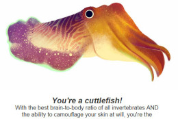 One of the Google Earth Day quiz results is a cuttle fish. (Via Google)
