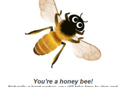 Are you a honey bee? (Via Google)