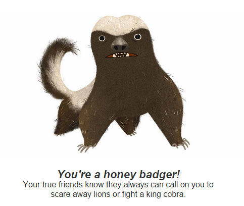 Honey badger don't  care.(Via Google)