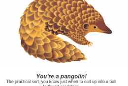 One of the WTOP web editors received the pangolin as a result. (Via Google)