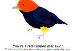 One of WTOP's web editors received this bird. (Via Google)