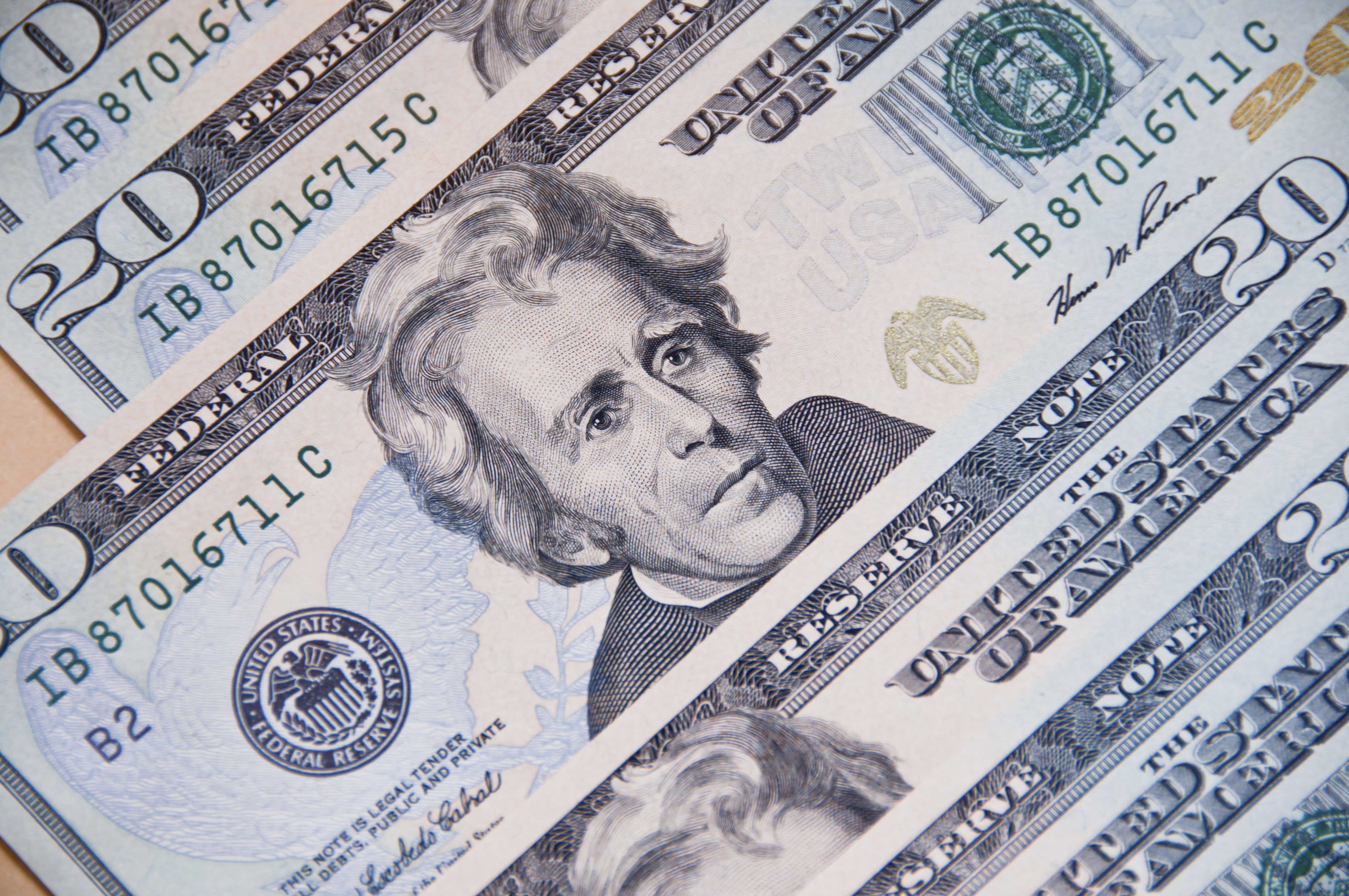 Who would you vote for? The social effort to put a woman on the $20 bill