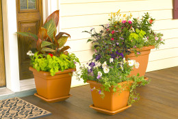 Flower Planters