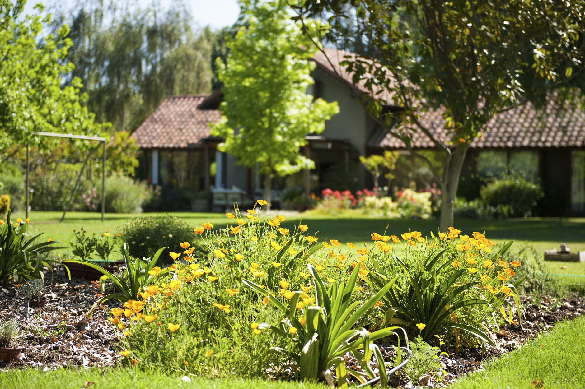 D.C. gardeners can rest easy. Police believe they have nabbed the man dubbed "The Flower Thief" who has been  stealing flowers from residents' front yards for years. (Thinkstock)