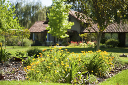 D.C. gardeners can rest easy. Police believe they have nabbed the man dubbed "The Flower Thief" who has been  stealing flowers from residents' front yards for years. (Thinkstock)
