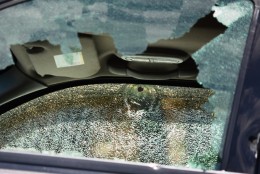 A bullet hole is seen in the SUV that was shot on northbound I-295 Thursday morning. (WTOP/Dave Dildine)
