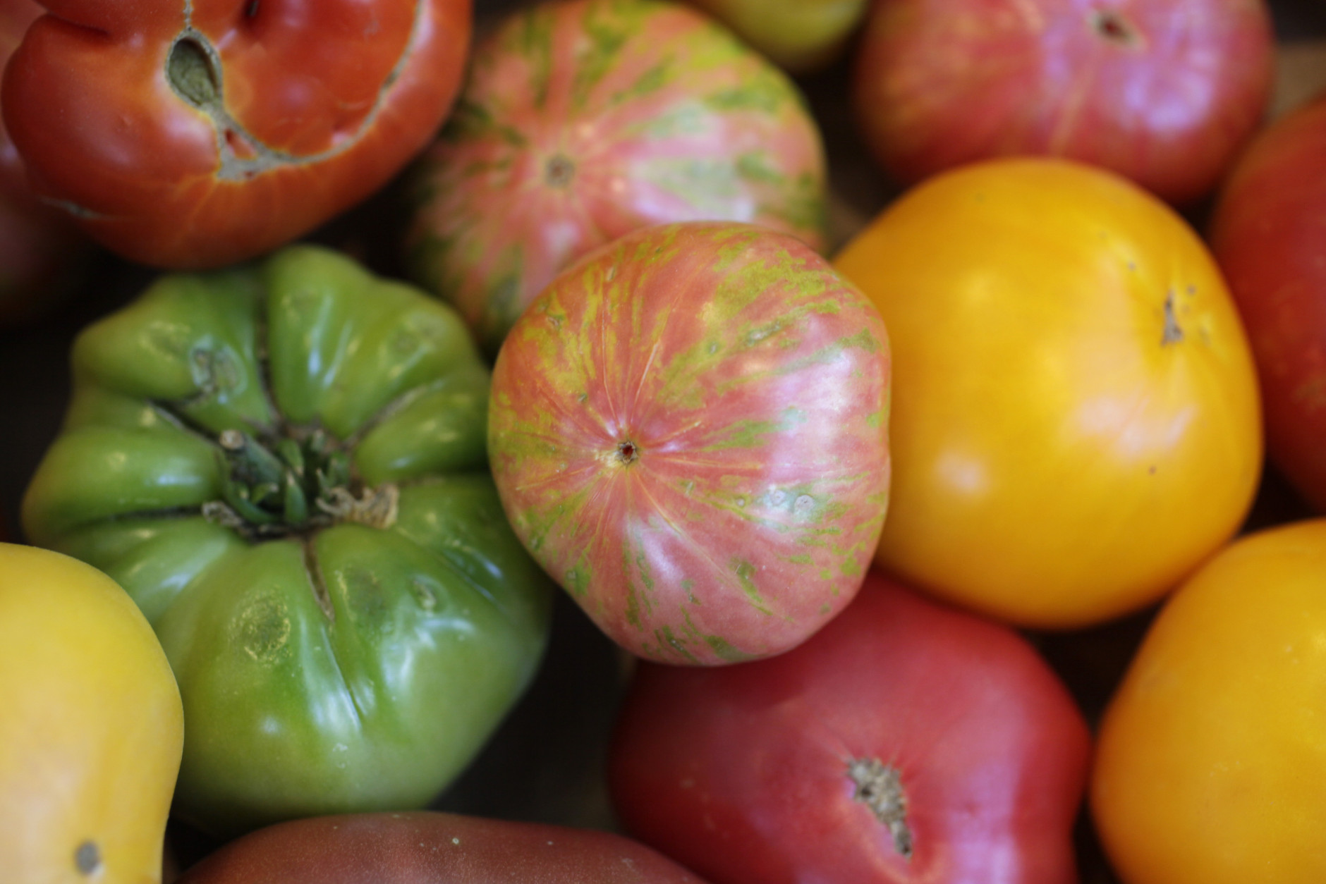 Shown is a selection of multi-colored heirloom tomatoes at the Oxbow Produce and Grocery in Napa, Calif., Monday, June 29, 2009. (AP Photo/Eric Risberg)