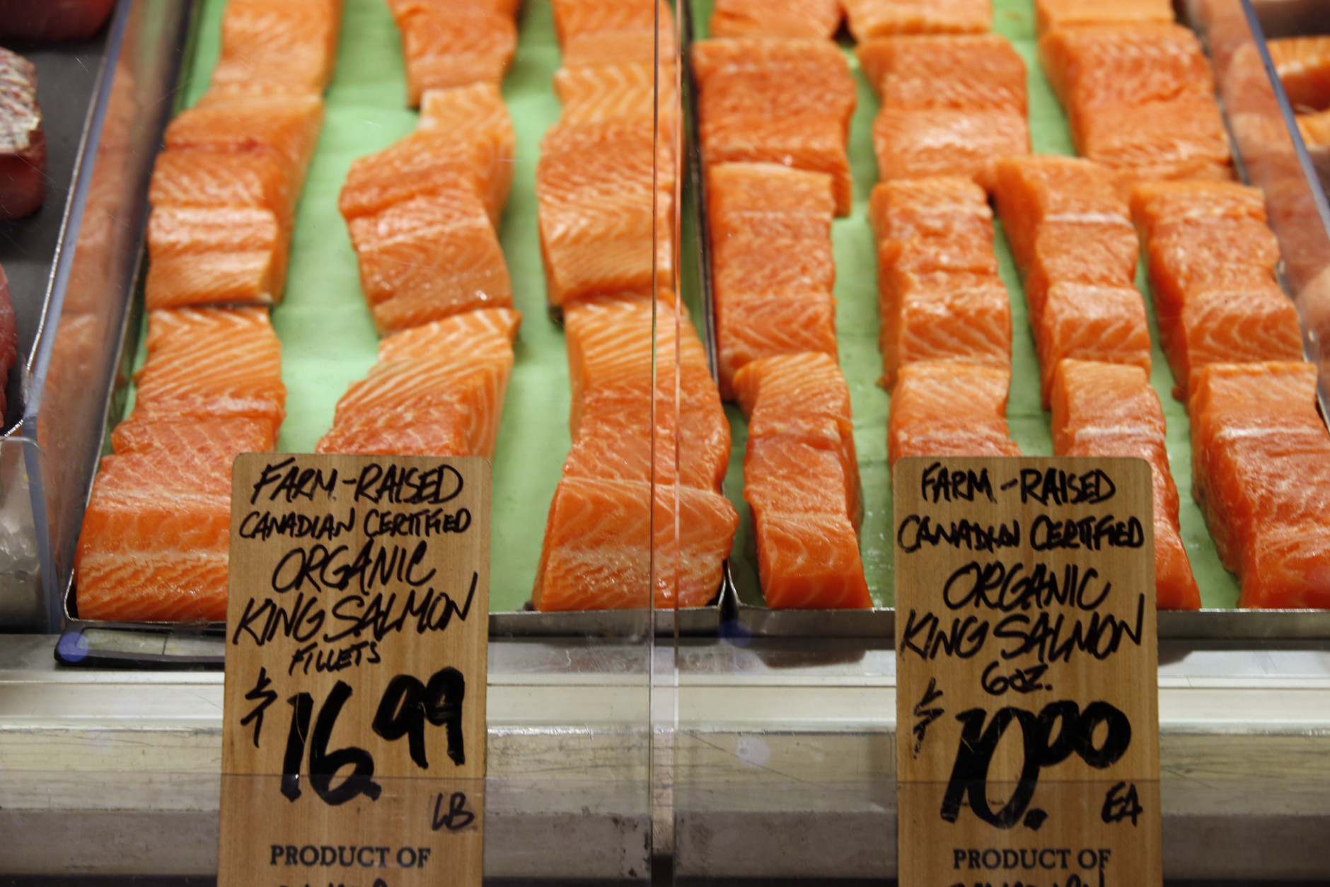 wild salmon vs farmed salmon
