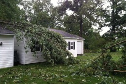 Some trees and limbs fell onto homes and garages. (WTOP/Dave Dildine)