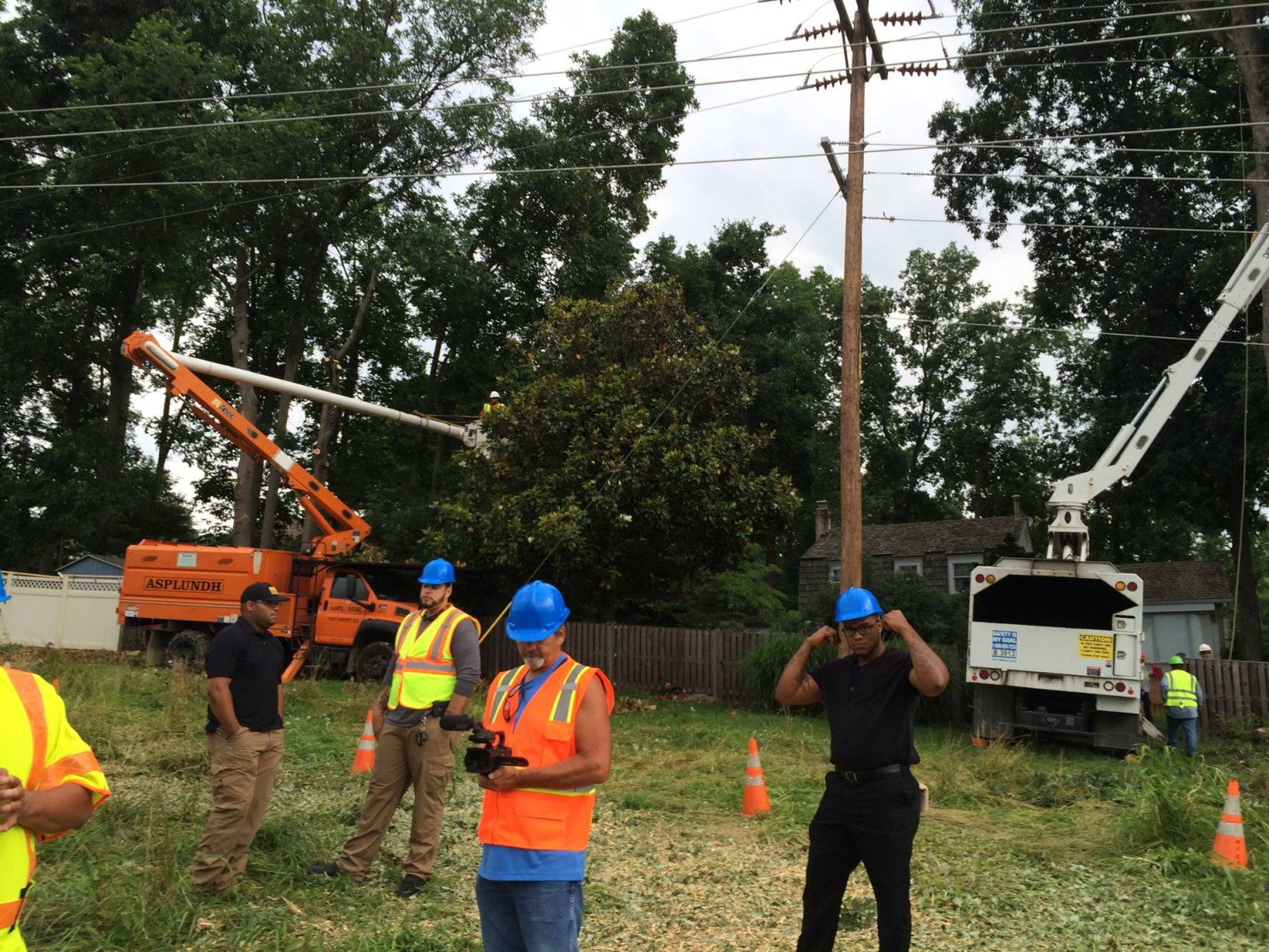 Tree request pepco cutting