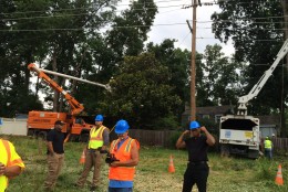 The Maryland State Public Service Commission has ordered that Pepco transmission lines be clear of trees and limbs in order to boost electric service reliability. (Courtesy Birgit Dachtera Stuart/Facebook)