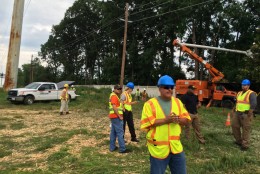 Pepco says it must cut trees to keep power flowing after severe weather. (Courtesy Birgit Dachtera Stuart/Facebook)