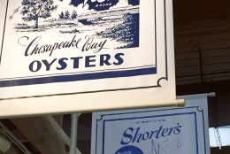Oyster signs from the Chesapeake Bay Maritime Museum in Solomons, Md. (WTOP/Kate Ryan)
