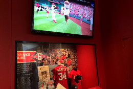 Mascot Teddy Roosevelt wins his first President's Race in October 2012 in this video playing above Bryce Harper memorabilia. (WTOP/Kristi King)
