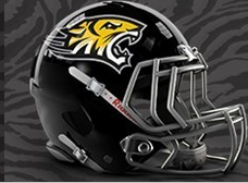 Towson grinds out win over Albany 38-24