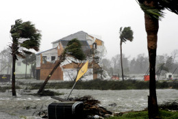 Palm trees are bent from the force of Hurricane Katrina in an area hit by hurricane Ivan last September in the Grande Lagoon area of Pensacola, Fla.  Monday, Aug. 29, 2005. Construction material from the home being renovated after Ivan blows in the breeze.(AP Photo/Peter Cosgrove)