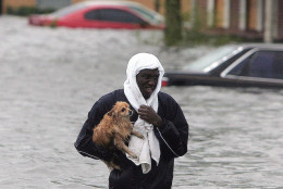 Jonathan Harvey wades through flood waters after rescuing his dog "Cuddles" from his flooded home after  Hurricane Katrina struck the Gulf Coast Monday,  Aug. 29, 2005 in Gulfport, Miss..  (AP Photo/John Bazemore)