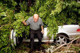 Dr. Alberto Hernandez exits his car after checking it for damage from a tree that Hurricane Katrina blew down overnight on Brickell Avenue near downtown Miami  Friday, Aug. 26, 2005. (AP Photo/Luis M. Alvarez)