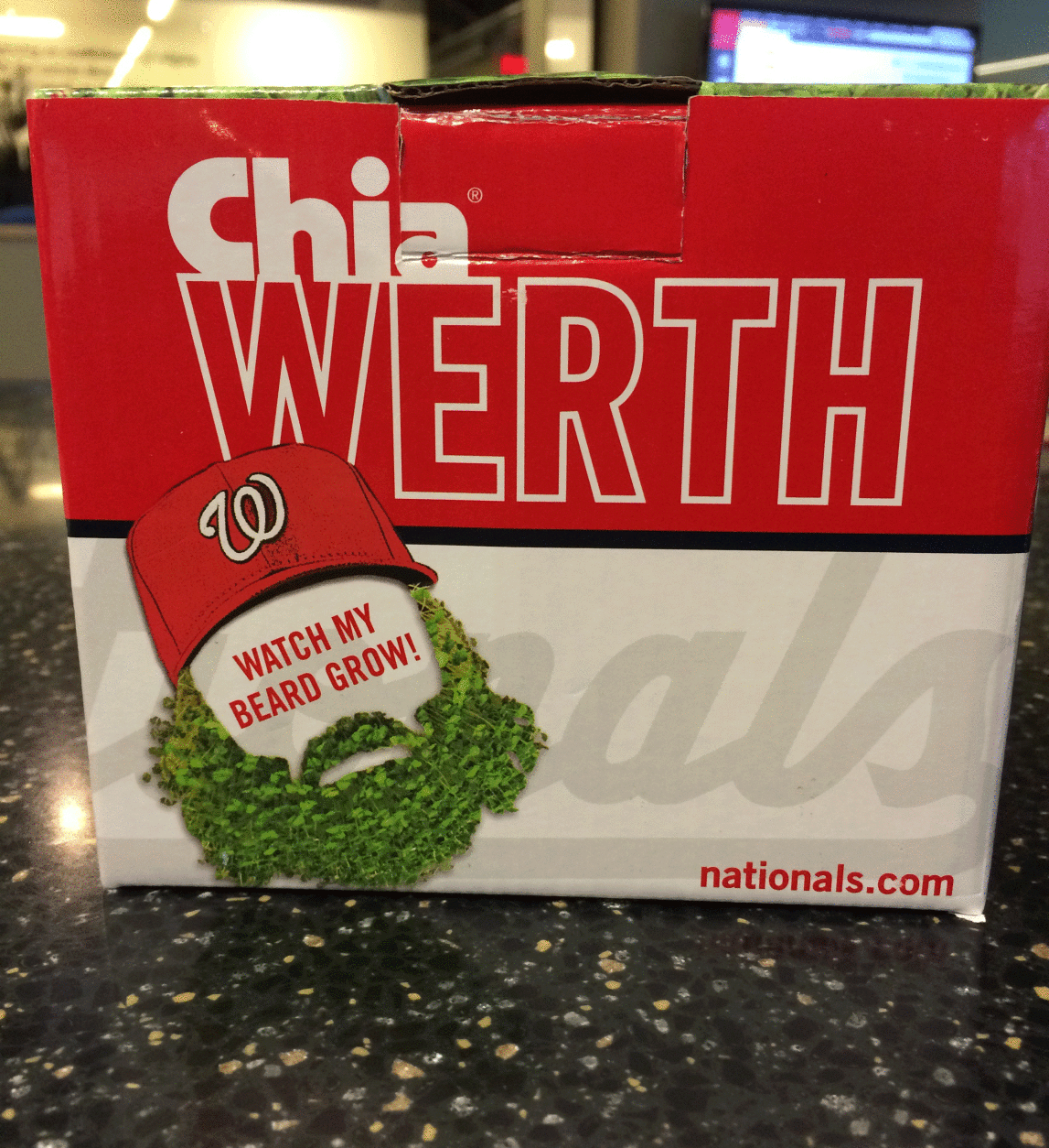 DAY 1: The first 20,000 fans into Nationals Park for Wednesday's game with Arizona received a Chia Pet where fans can sprinkle the seeds on the outfielder’s beard. (WTOP/Sarah Beth Hensley)
