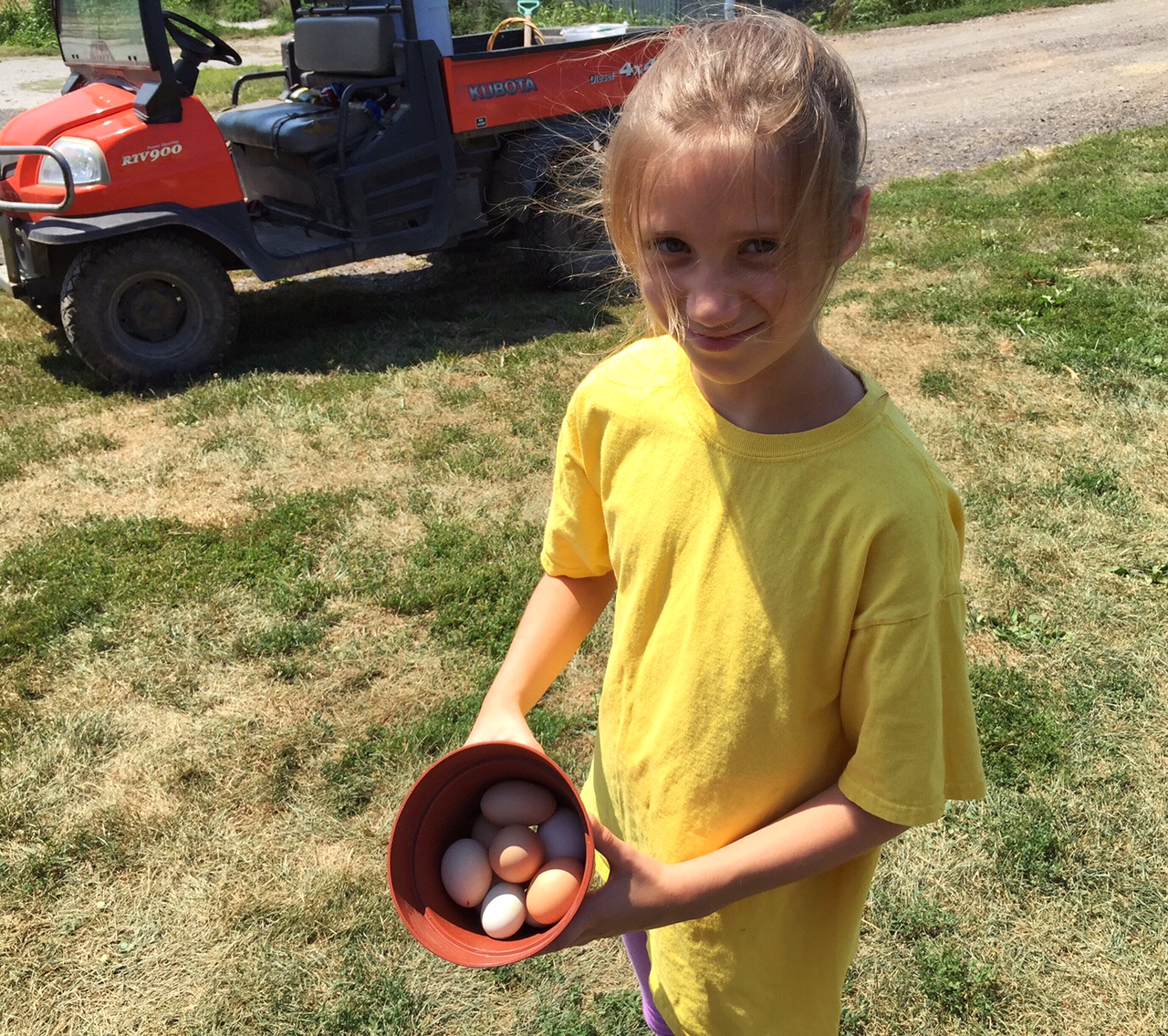 Luther’s granddaughter, Rachel Zimmerman, shows eggs gathered Friday morning. (WTOP/Kate Ryan)