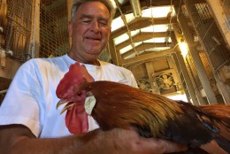 Lonnie Luther of L&M Farm in Damascus with a Light Brown Leghorn. (WTOP/Kate Ryan)