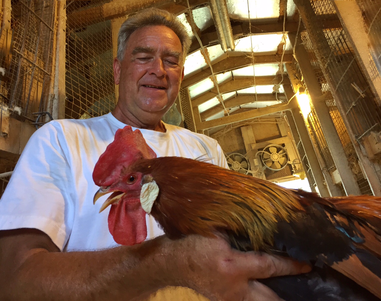 Lonnie Luther of L&M Farm in Damascus with a Light Brown Leghorn. (WTOP/Kate Ryan)