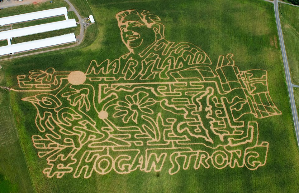 Maryland Gov. Hogan honored with corn maze