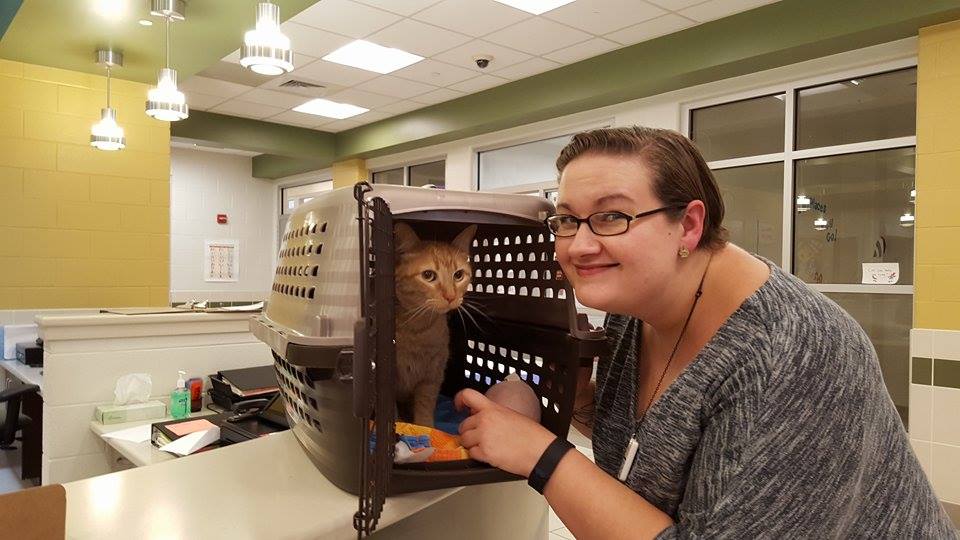 ‘Shy’ cat adopted from local shelter after owner’s death