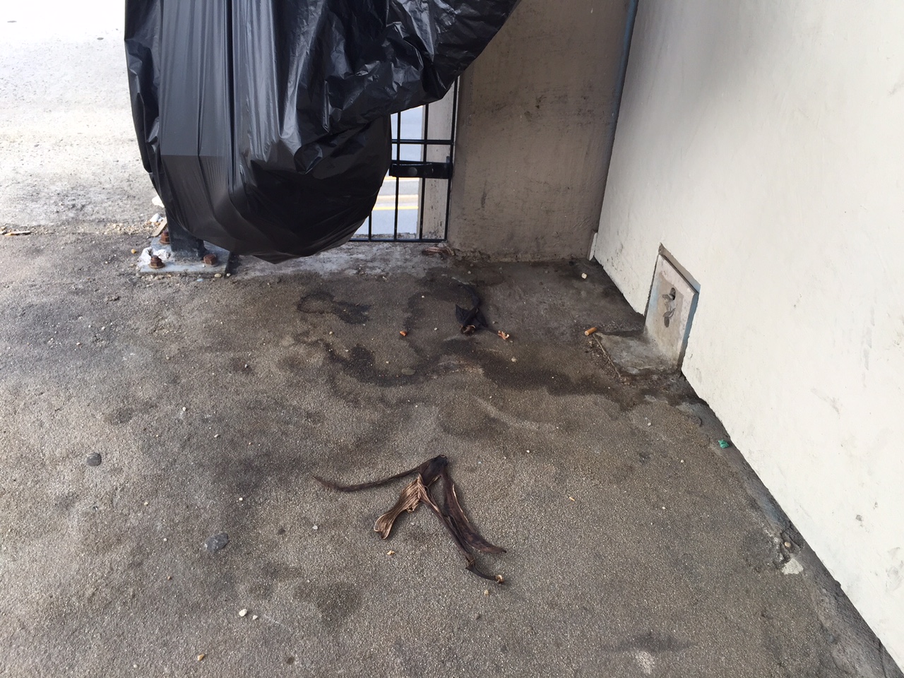 A trash bag goes unused near a suspicious stain near the bridge. (WTOP/Kristi King)
