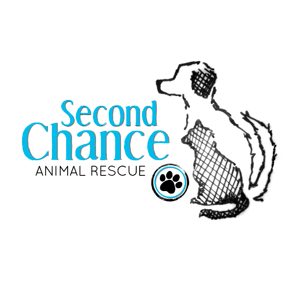 Second Chance Animal Rescue