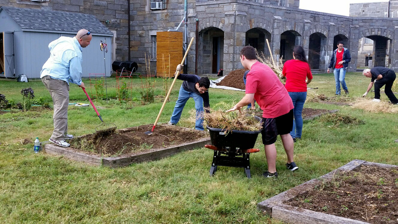 Volunteers tend to Catholic University of America's community garden on Sunday, Sept. 13, 2015, for a "Walk with Francis" day of community service. (WTOP/Kathy Stewart)