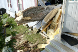A tree, that fell through this trailer near Parksley, Va. killing one resident Thursday night during high winds from Hurricane Isabel, is seen on Friday Sept. 19, 2003.   (AP Photo/Scott Neville)