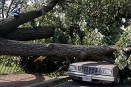 Tyler Lavigne, 5,left, of Washington, crawls on a tree that was blown over by Hurricane Isabel , Friday, Sept. 19, 2003 in Washington. The capital city suffered from a rare power vacuum Friday. Thousands of residents were without lights, hundreds of trees littered the landscape and all three branches of government were basically shut down. Lights were out at the Supreme Court and federal offices; President Bush remained at his secluded mountaintop retreat in Maryland and members of Congress for the most part stayed out of town. (AP Photo/Evan Vucci)