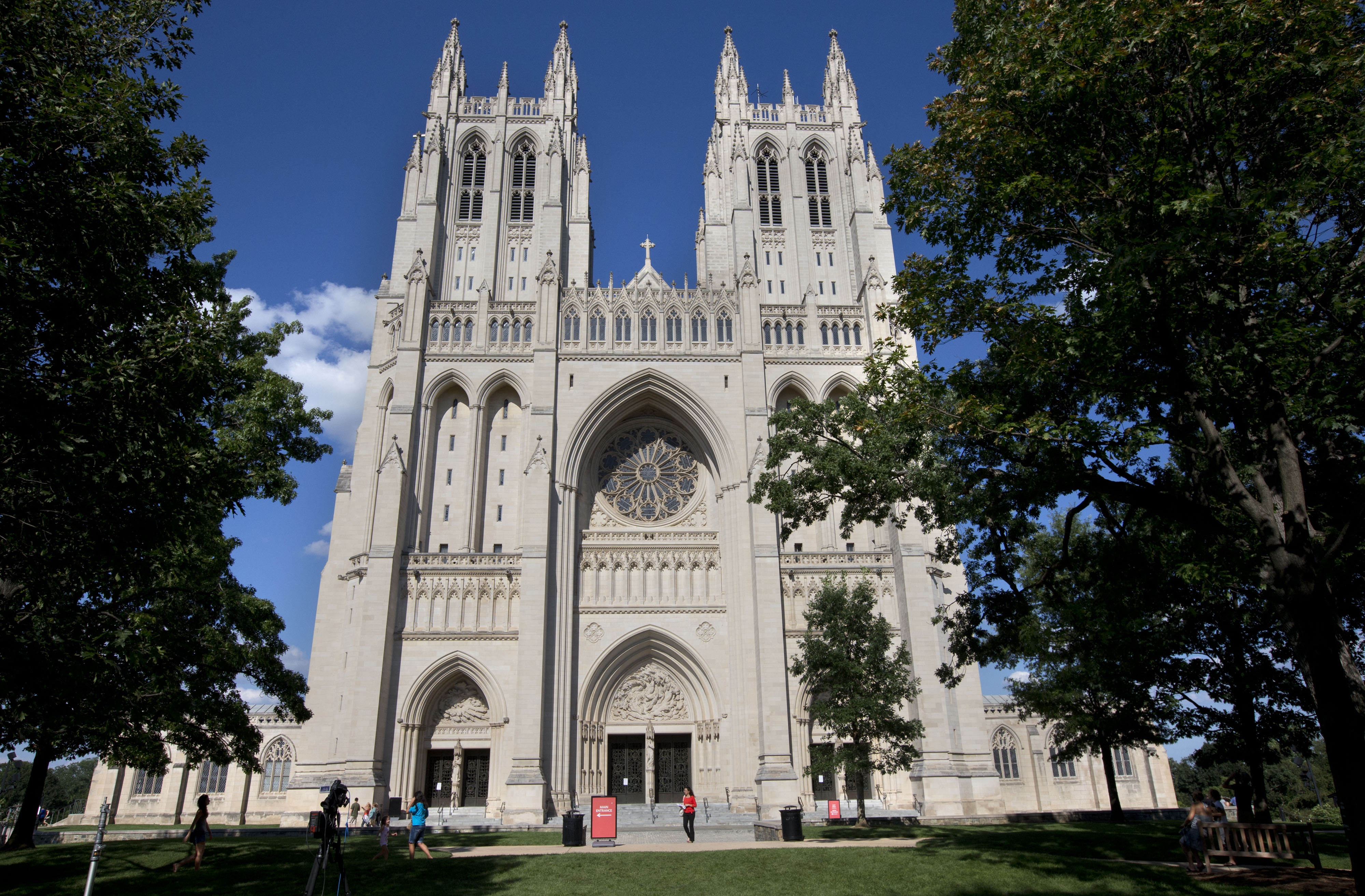 Washington National Cathedral needs help naming new red-tailed resident