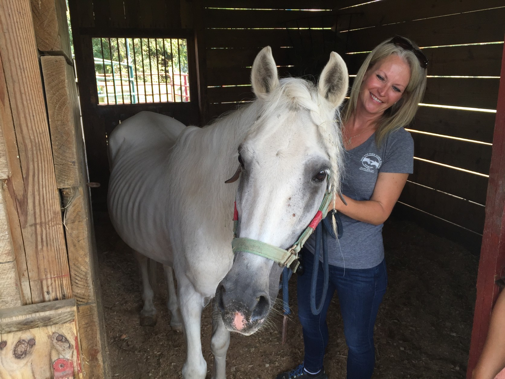 DeEtte Gorrie, of Days End Farm Horse Rescue stands with one of the neglected horses, a stallion named Rio. (WTOP/Michelle Basch)