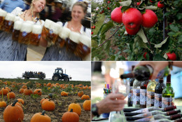 'Tis the season to sip and socialize. Fall festivals are in full swing, and this year's calendar is more packed than ever before. Looking for ways to enjoy the season with local eats and libations? Here is a weekend-by-weekend guide to the best food and drink festivals in D.C., Maryland and Virginia this fall. (AP Photos/WTOP Composite)  
