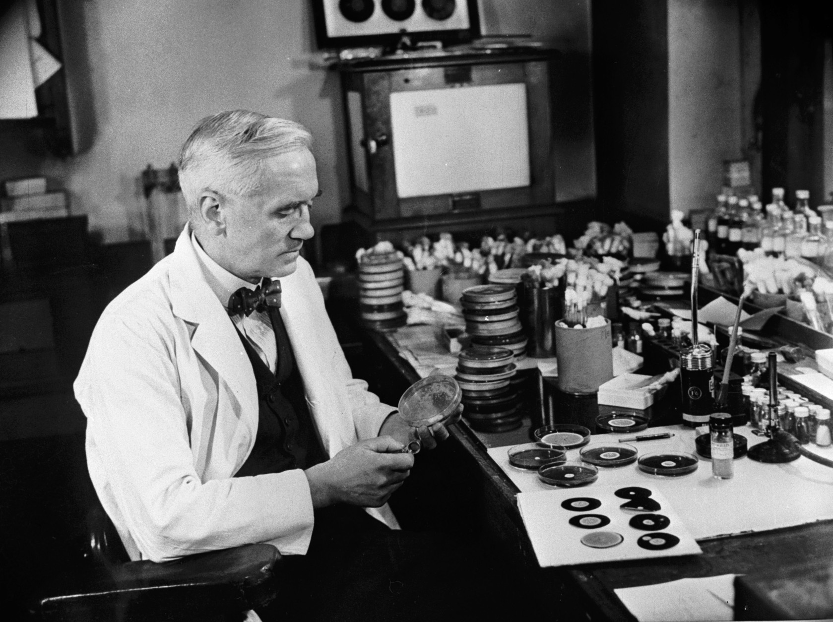 1955:  Sir Alexander Fleming (1881 - 1955), discoverer of penicillin, studies mould cultures in his laboratory at the Wright Fleming Institute in London. Fleming also developed a technique of 'painting' pictures with germs, drawing outlines on small pieces of paper, which would grow into a picture as the microbes multiplied.  (Photo by Peter Purdy/BIPs/Getty Images)