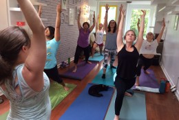 D.C.'s cat cafe Crumbs and Whiskers hosted its first cat yoga sessions on Tuesday, Sept. 22, 2015. 