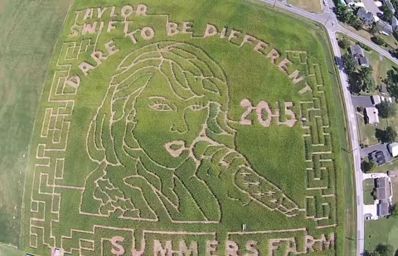 <p><a href="https://summersfarm.com/pages/fall-festival" target="_blank" rel="noopener">Summers Farm</a>, in Frederick, Maryland, is bringing its &#8220;world famous&#8221; corn maze back this year, along with its Fall Festival, which runs through Halloween.</p>
<p>You can also pick your own pumpkins, as well as enjoy a campfire to roast marshmallows and a fireworks show on select nights.</p>
