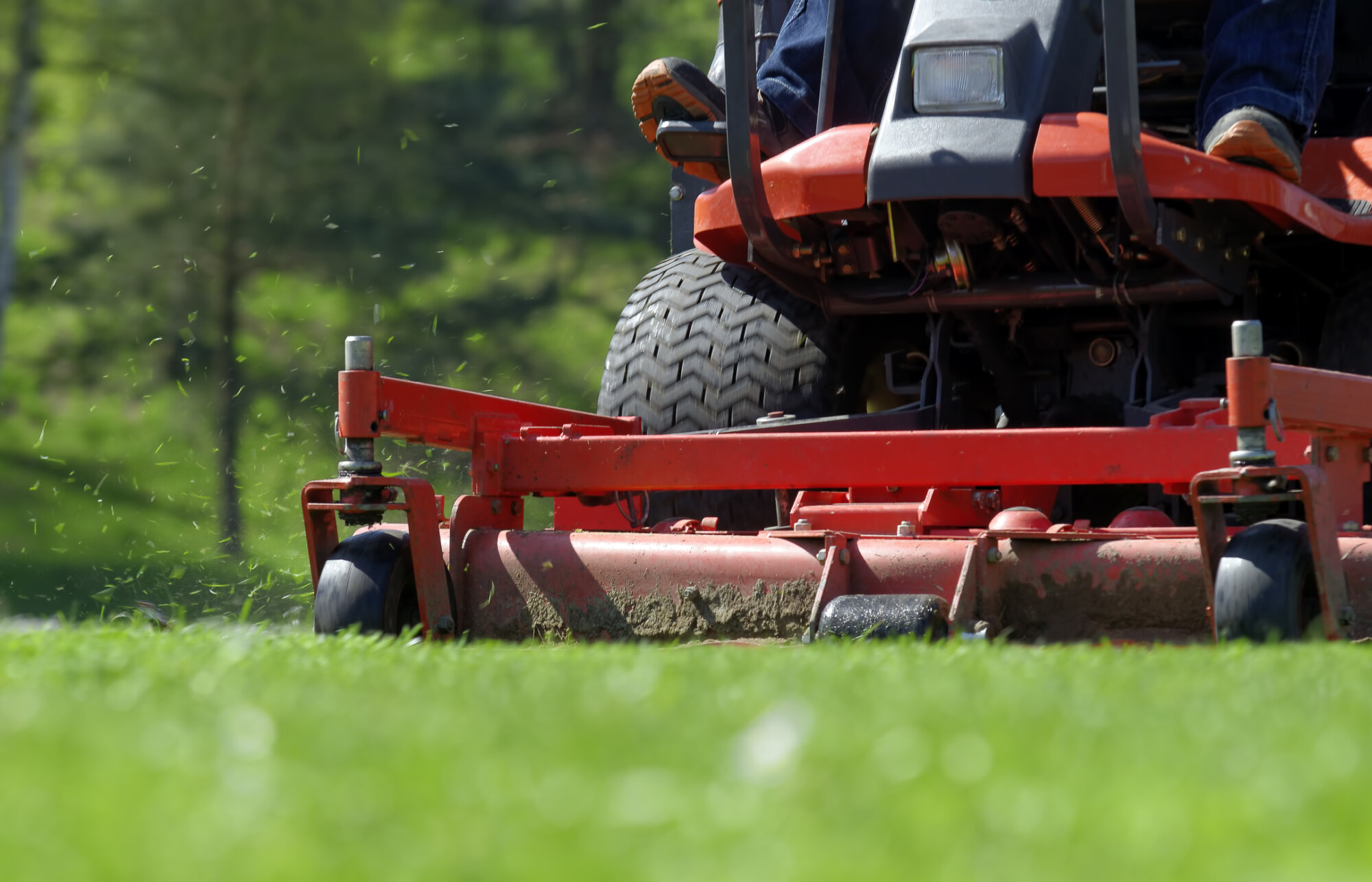 How to make sure you don’t get too much service when hiring a lawn care company