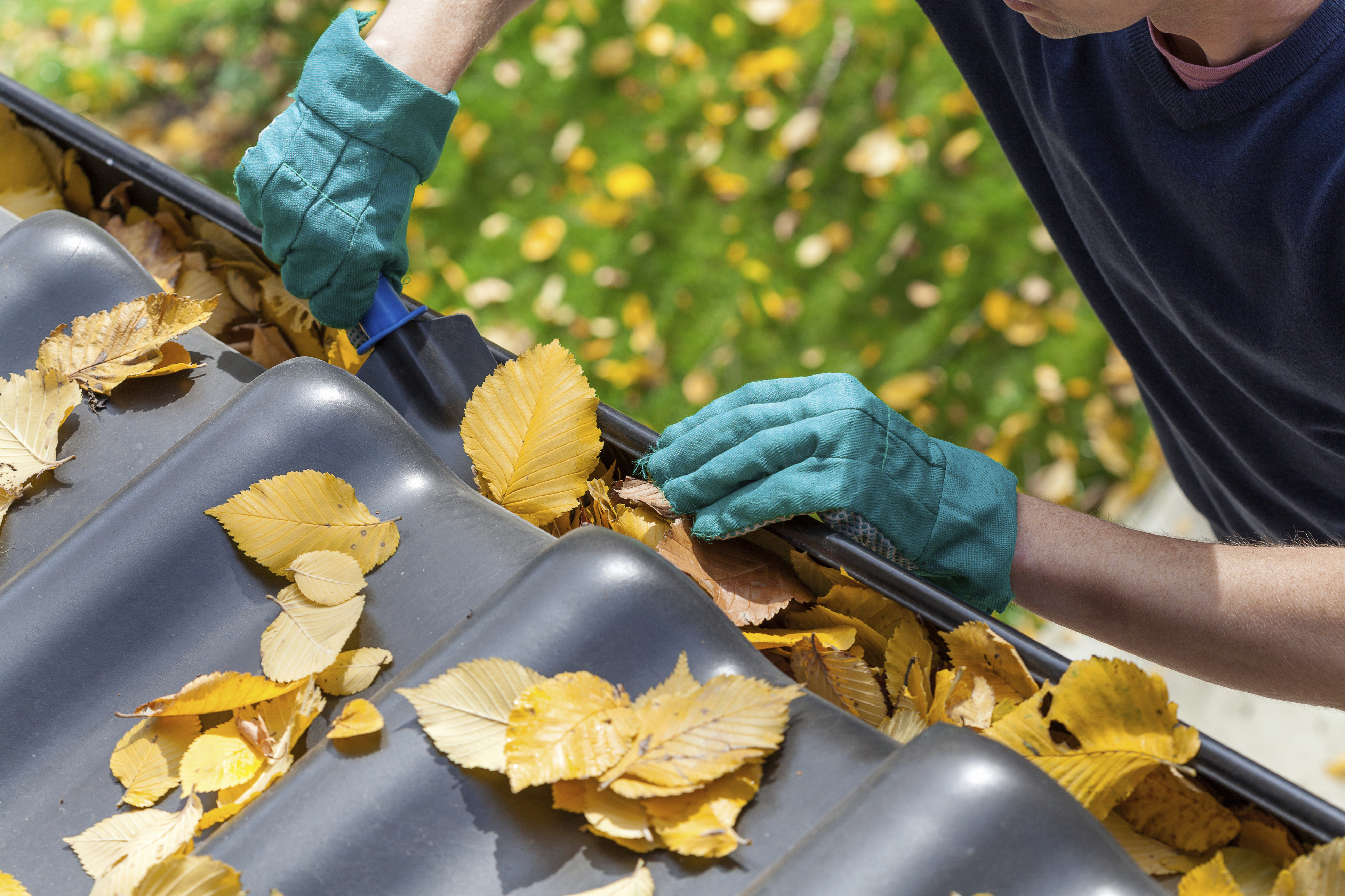 15 fall maintenance tasks every homeowner should tackle now