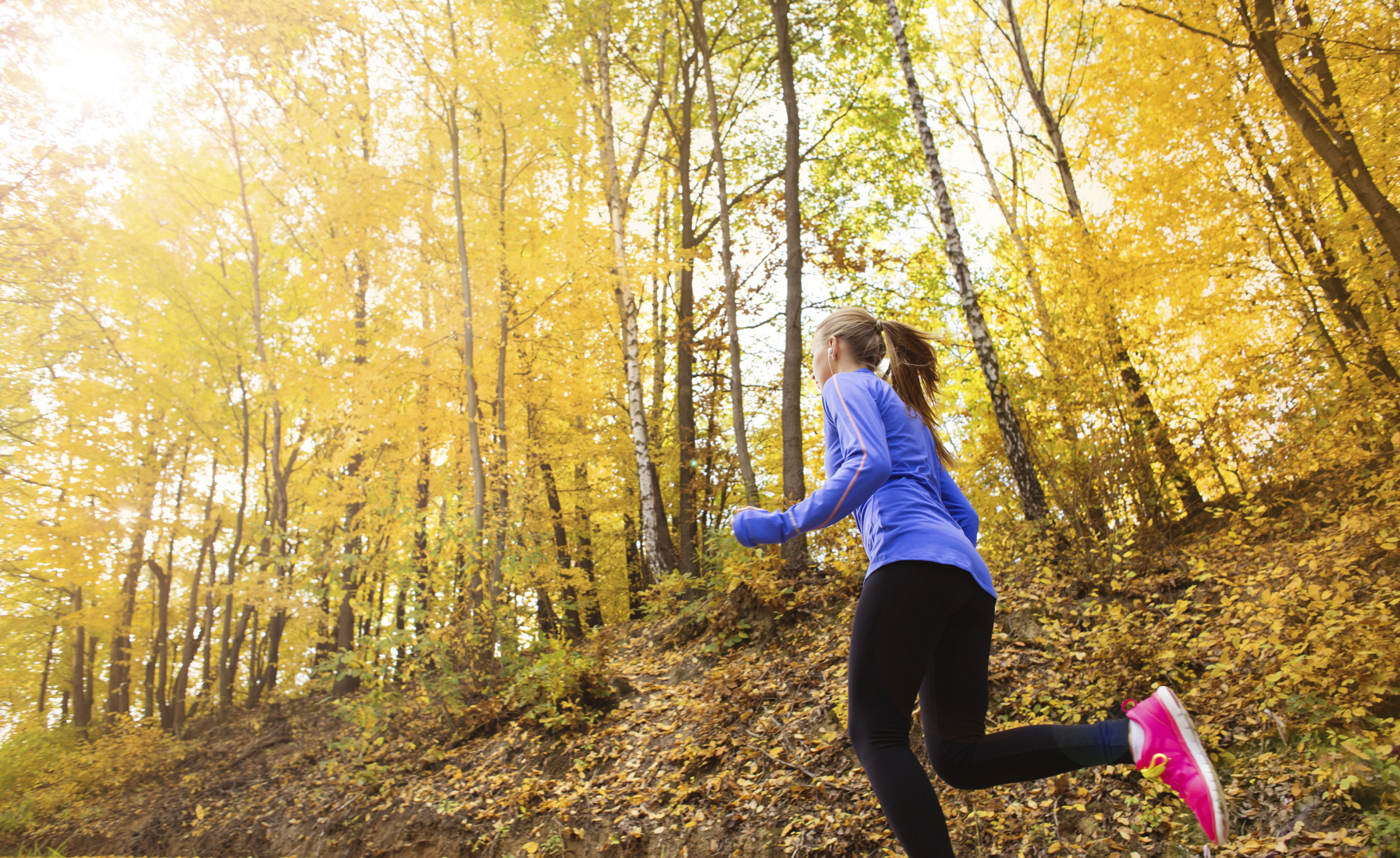 Training for a fall race? Expert tips for getting in shape - WTOP News